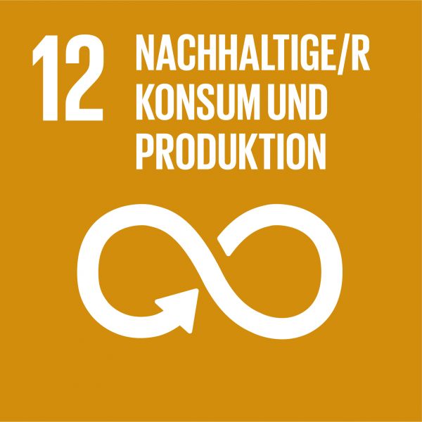 UN Ziel: Industrie, Innovation und Infrastruktur