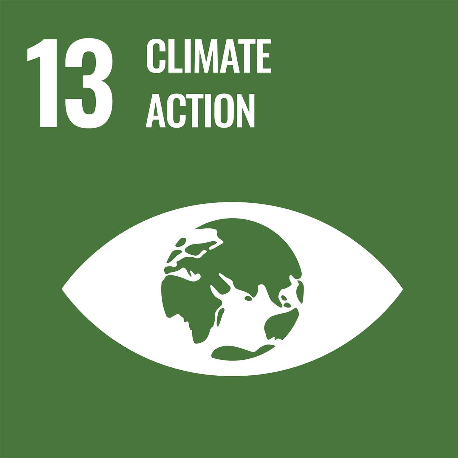 UN Goal: Climate Action